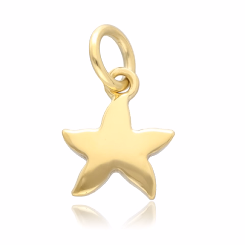 DODO STAR PENDANT YELLOW GOLD 1.05GR