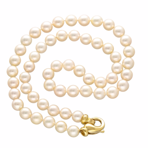 5GR/56PERLE/7.7mm